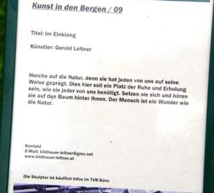 Erklärung vom Künstler/in