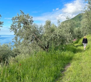 Wandern Tignale