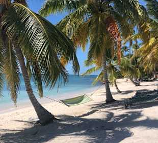 Mittagessen gibt es nicht weit entfernt von hier