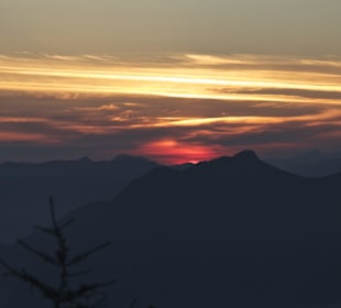 Leise, gleich schaut sie hervor