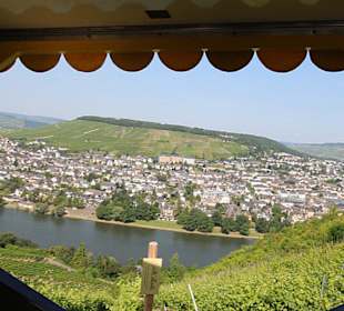 Blick zur Mosel