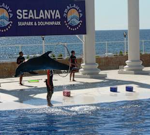 Sealanya
