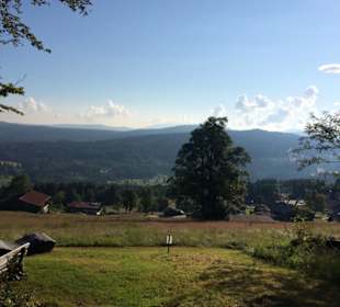 Wandern Mitterfirmiansreut