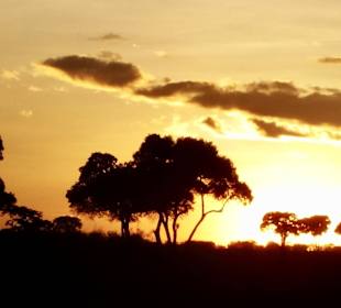 Beginn der Frühpirsch