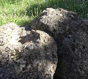 Geologischer Lehrgarten