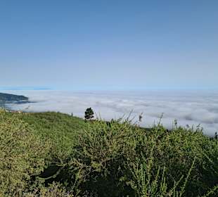 Wandern Puerto de la Cruz