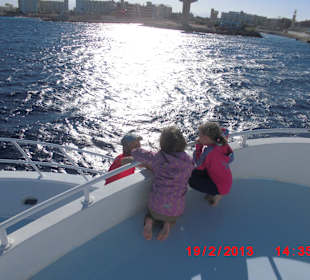 Ausflug Dolphin Dancers