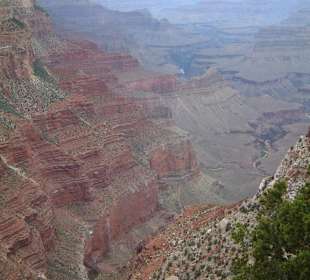 Parco nazionale Grand Canyon