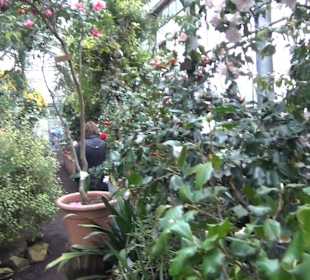 Flora und Botanischer Garten