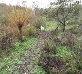 Umweltbildungszentrum Listhof