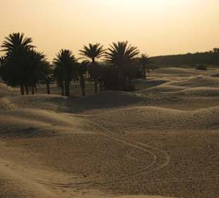 Sahara- Tunezja