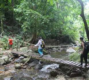 Dschungel- und Bootstour