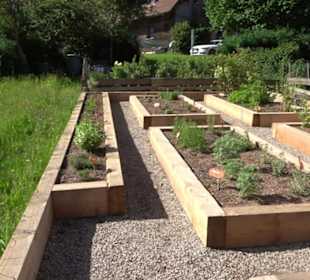 Arzneipflanzengarten Klosterreichenbach