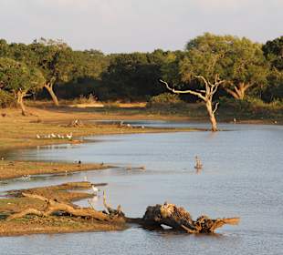 Parklandschaft kurz vor Sonnenuntergang.