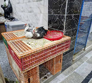 Obst- und Gemüsemarkt Dahar