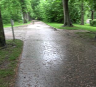 Wandern rund um den Stadtsee