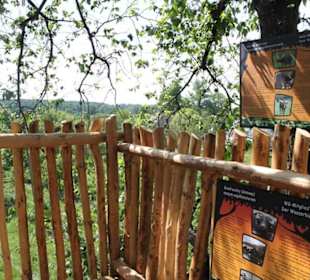 Aussichtsplattform polnische Seite