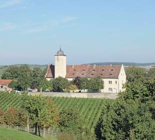 Schloß Hallburg auf der Maininsel bei Volkach