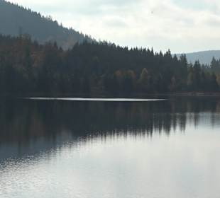 Windgfällweiher