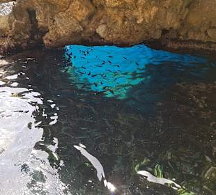 Inselrundfahrt Korfu