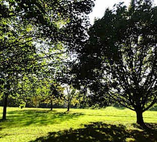 Herbst in der Fuldaaue