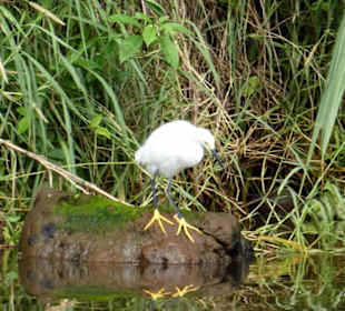 Relax Day Tour mit Federico. Eine kleine Auswahl