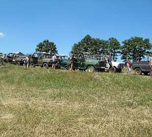 Krajobrazy w trakcie safari