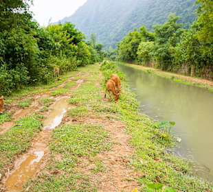 Weg zur Höhle am Rand eines Bewässerungsgrabens