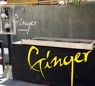 Impressionen vom Terrassenambiente des "Ginger"