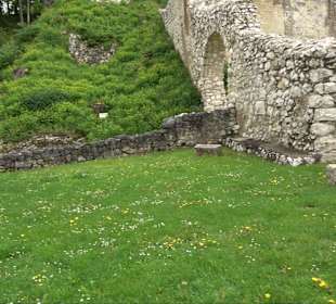 Ruine Burg Kaltenburg