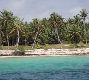 Saona