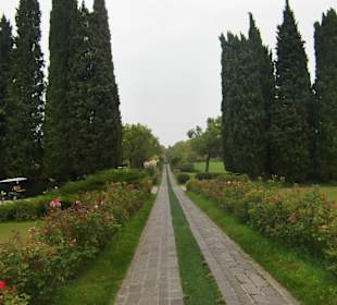 Parco della Sigurta