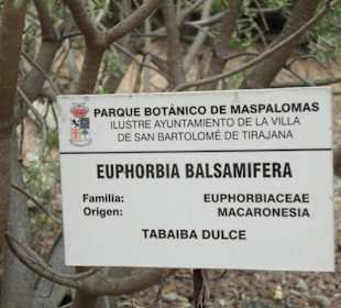 Parque Botánico de Maspalomas 13-02-2013