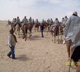 Die Karawane zieht weiter
