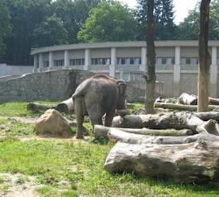 Zoo Ostrava