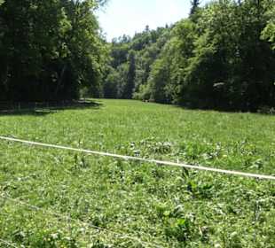 Wanderweg Sieben-Täler-Runde 