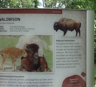 Tierpark Hellabrunn