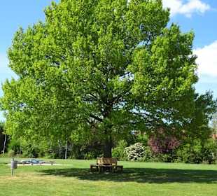 Impressionen vom Rundgang um den Klostersee