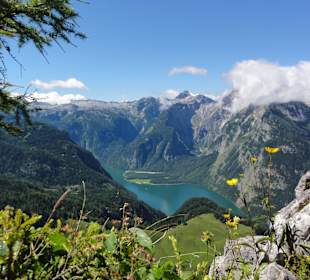 Panorama vom Jenner Richtung Watzmannmassiv