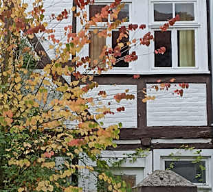 Stadtrundgang Bad Sooden-Allendorf