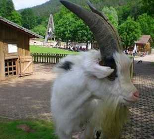Wild- und Wanderpark Silz