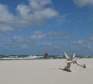 Plaża przy ruchomych wydmach