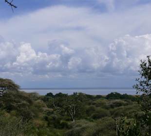 Ausblick auf den Lake Manyara