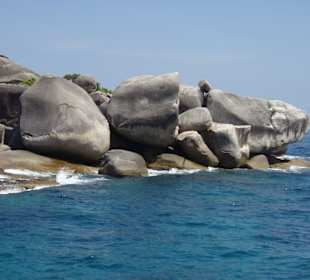 Die Similans