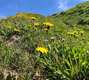 Wandergebiet Sportgastein