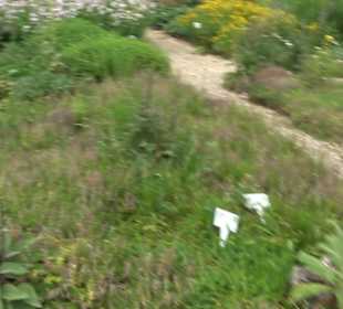 ALB-GOLD Naturgarten