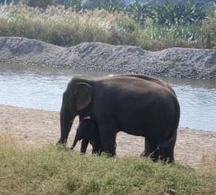 Ungestörte Zweisamkeit
