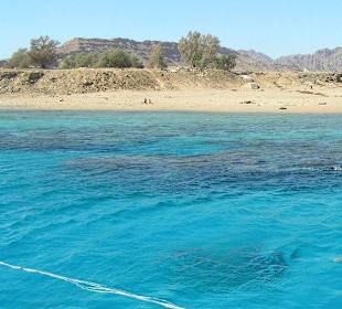 Подводный космос