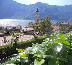 Blick über Limone