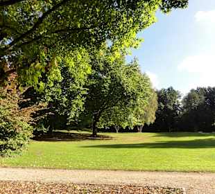 Herbstspaziergang durch Knoops Park